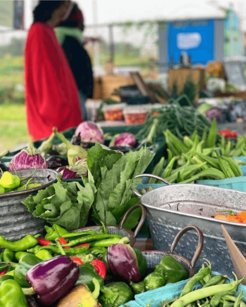 2021 Flowers for Dreams Impact Report